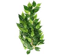 Exo Terra Silk Fiscus Plant Med