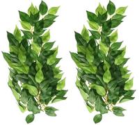 Exo Terra Silk Ficus Plant, Medium (Pack of 2)