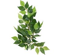 Exo Terra Silk Ficus Plant, Small