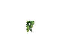 Exo Terra Silk Fiscus Vivarium Plant - Small