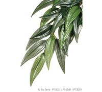 Exo Terra Silk Rucus Reptile Vivarium Plants