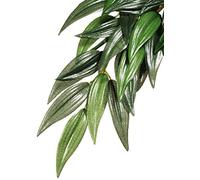Exo Terra Silk Rucus Reptile Vivarium Plants