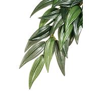 Hagen Exo Terra Reptile Plant Silk Plant Ruscus Medium