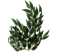 Exo Terra Silk Rucus Plant, Small