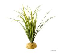 Exo Terra Turtle Grass