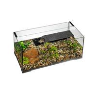 Exo Terra Turtle Haven Aquatic Terrarium - 90 x 45 x 37cm