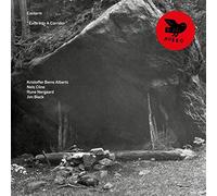 Exoterm - Exits Into A Corridor [VINYL]