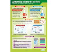 Exothermic & Endothermic Reactions | Science Posters | Laminated Gloss Paper measuring 850mm x 594mm (A1) | Science Charts for the Classroom | Education Charts by Daydream Education