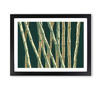 Exotic Bamboo Forest Framed Print | A3 Black Framed Wall Art | Ready to Hang | Modern Landscape Picture | Living Room Bedroom Lounge Office