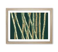 Exotic Bamboo Forest H1022 Framed Print for Living Room Bedroom Home Office Décor, Wall Art Picture Ready to Hang, Oak A4 Frame (34 x 25 cm)