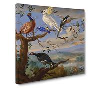 Exotic Birds by Jan van Kessel Canvas Print | Gallery Wrapped 30mm Frame Wall Art | 20x20 inches | Ready to Hang | Classic Bird Picture | Living Room Bedroom Lounge Office