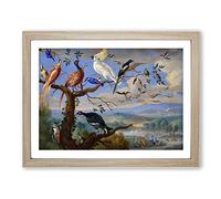 Exotic Birds By Jan Van Kessel Classic Painting Framed Print | A3 Oak Framed Wall Art | Ready to Hang | Classic Historical Picture | Living Room Bedroom Lounge Office