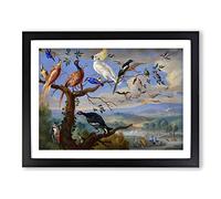 Exotic Birds By Jan Van Kessel Classic Painting Framed Wall Art Print, Ready to Hang Picture for Living Room Bedroom Home Office Décor, Black A3 (46 x 34 cm)