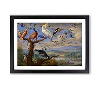 Exotic Birds by Jan Van Kessel Framed Print | A2 Black Framed Wall Art | Ready to Hang | Modern Nature Picture | Living Room Bedroom Lounge Office