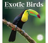 Exotic Birds Calendar 2026 | 12” x 24” Wall Calendar 12 Month | Marble City Press | Tropical Birds Parakeet Cockatoo Bird of Paradise Parrot | 2026-2027 Calendar