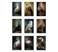 Exotic Birds Greeting Cards - Pack of 9 Small A6 - Blank Inside
