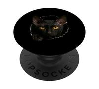 Exotic Black Cornish Rex Cat Peeking Through PopSockets Adhesive PopGrip