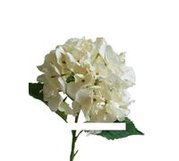 Exotic Dried Flower Bouquet Abundant Large Hydrangea Stems with Leaves, 5 Pcs Branches Artificial Flower Branches, Suitable for Wedding Flowers, Home Flower Decoration Arrangement (NO VASE)(Yellow)