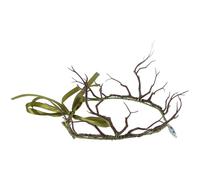 Exotic Fairy Headband for Women, Halloween Season Branch Crown | Green Festival Accessory, One-size Comfort for Hair and Forehead, Bridal and Valentine's Day Styling
