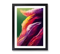 Exotic Feathers Framed Print | A4 Black Framed Wall Art | Ready to Hang | Modern Nature Picture | Living Room Bedroom Lounge Office