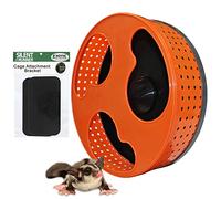 Exotic Nutrition 12" Silent Runner | Sugar Glider Exercise Wheel