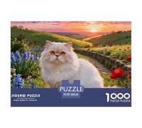 Exotic Shorthair1000 Piece Puzzle Educational Game Cute Cats Puzzle Gift for Adult 38x26cm/1000pcs