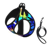 Exotic Tribe Tie Dye Style Print Pet Leash Vest Soft Adjustable Step in Puppy Vest Outdoor Walking with Leash