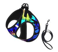 Exotic Tribe Tie Dye Style Print Pet Supplies Adjustable Step-In Flex Breathable Mesh Dog Harness For Small Medium Dogs, S-L