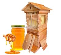 ExoticaBlend Self-Flowing Wooden Beehive with Frames and Trays, Complete Starter Kit for Backyard Beekeeping and Garden Pollination