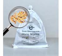 ExoticPetsEssentials Live Morio Worms or Superworms (250g)