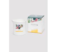 Exotiq Massage Candle Ylang Ylang - 200g