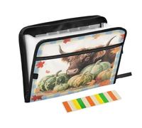 Expandable File Folder Organizer 13 Pockets A4 Letter Size with Zipper Closure for Document Storage Fall Autumn Pumpkin Highland Cattle Plaid organizador