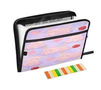 Expandable File Folders 13 Pockets A4 Letter Size with Zipper Closure for Office Supplies E28b2646-56ab-4cb7-be29-ce009bf00aaa_1752735081694232582~tplv-a9rns2rl98-web-preview-watermark para