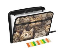 Expandable Folder with Dividers 13 Pockets A4 Letter Size with Zipper Closure for Expandable File Folder Organizer Kawaii-Style Scottish Fold Cats Brown para guardar