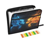 Expandable Folders 13 Pockets A4 Letter Size Folder with Dividers with Zipper Closure for Office Workers Acordian Document Keeper Ice Dragon Fire Dragon