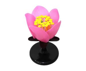 Expanded Peach Flower Model Flower Structure Anatomy Model Biology Teaching Materials Plant Reproduction in Classroom or School Laboratory