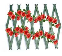 Expanding 6ft Wooden Trellis Climbing Plants Fence Panel Screening Lattice UK (Green 180 x 60cm)