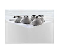 Expanding File Folder, 6 Pockets Zipper Expandable Document Organizer Accordion Filing Folder Print Emperor Penguin Chicks on The Snow in Antarctica