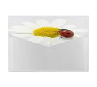 Expanding File Folder, 6 Pockets Zipper Expandable Document Organizer Accordion Filing Folder Print Red Ladybug Sits on a White Daisy Flower Petal