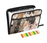 Expanding File Folder Cute Cat Kitty Zipper Accordion Document Organizer 13 Pocket Letter Size with Sticky Labels Cats Animals