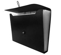 Expanding File Folder with Tabs, 13 Pockets File Organizer Accordion File Holder ，with Elastic Buckles Closure, A4 Paper Document Organizer for Home School Office