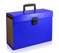 Expanding Folders, File Organizer A4 Portable Expanding Document File Folder for Office School Supplies 19 Pockets (Blue)