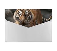 Expanding Malayan Tiger File Organizer with 6 Pockets Plastic Accordion File Folders with Labels Letter Size Portable Document Paper Receipt Bill Storage for Office