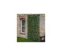 Expanding Trellis Artificial Green HOSTA Leaf Fence Screening 60cm x 180cm