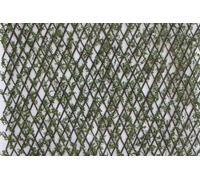 Expanding Willow Garden Trellis With Buxus Leaves 2M X 1M