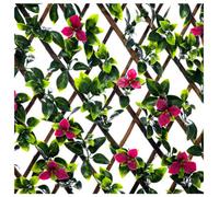 Expanding Wooden Trellis Privacy Screen - 200Cm X 100Cm - Garden Balcony Fence - Gardenia