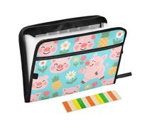 Expansion File Folders 13 Pockets A4 Letter Size with Zipper Closure for Paperwork Funny Pig Pink Blue Animal para guardar
