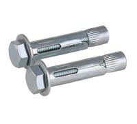 Expansion screw, 2PCS,Self Tapping Screws, Special Expansion Screw M6-M16 for Ground Lock of Internal Expansion Bolt Deceleration Strip of Extension Cone Nut(M10x100)