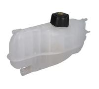 Expansion Tank, coolant DBR014TT THERMOTEC for RENAULT MODUS / GRAND MODUS