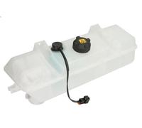 Expansion Tank, coolant NRF 454215 for PEUGEOT BOXER Van (244) 2 2002-2006